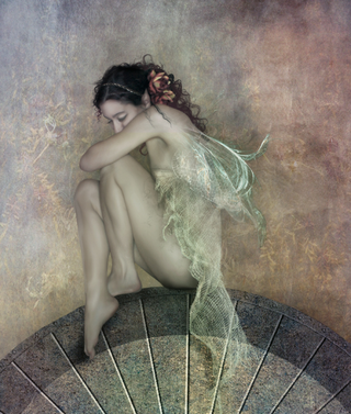 Illustration for article titled Girl Faeries